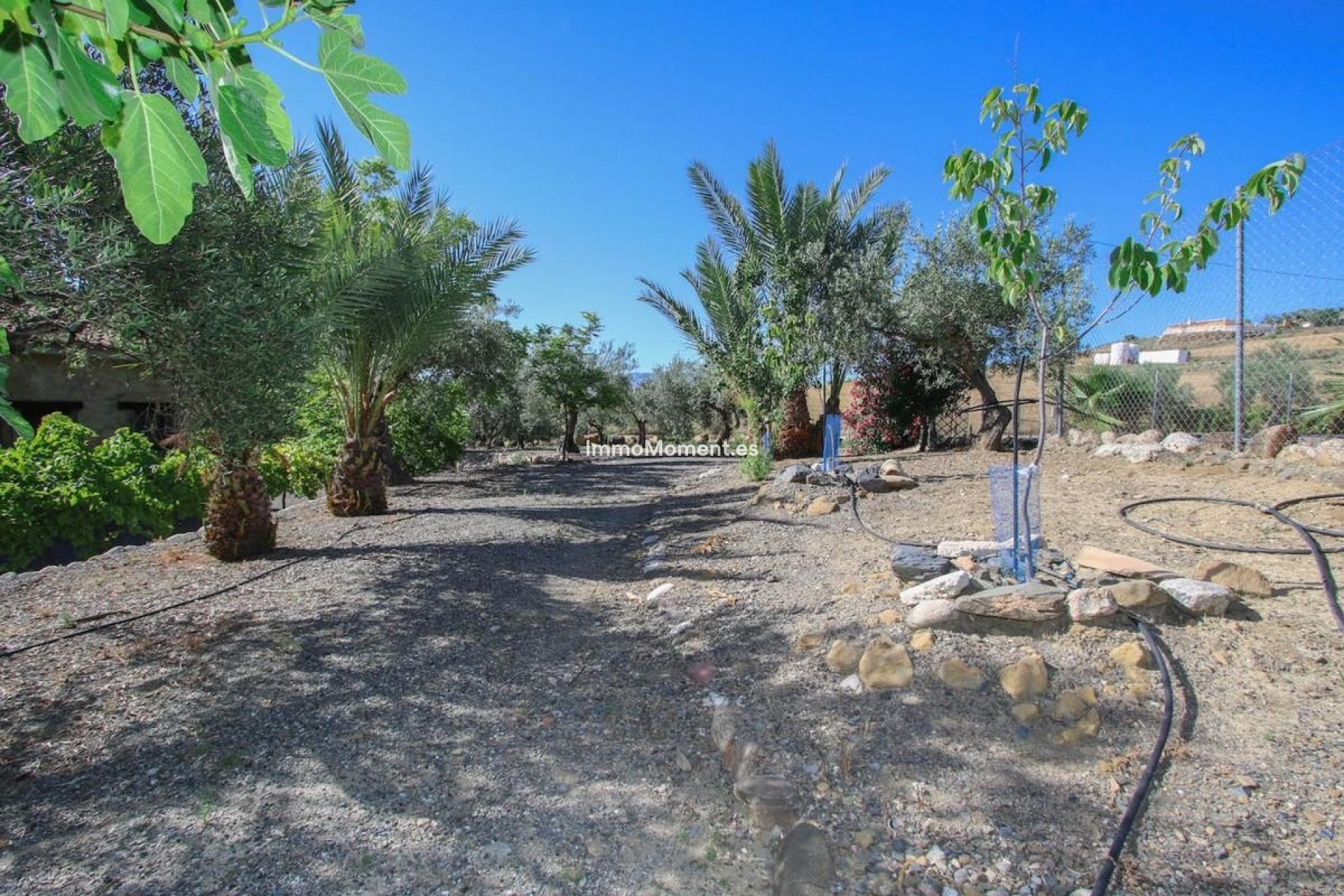 Resale - Villa - Inland  - Pizarra