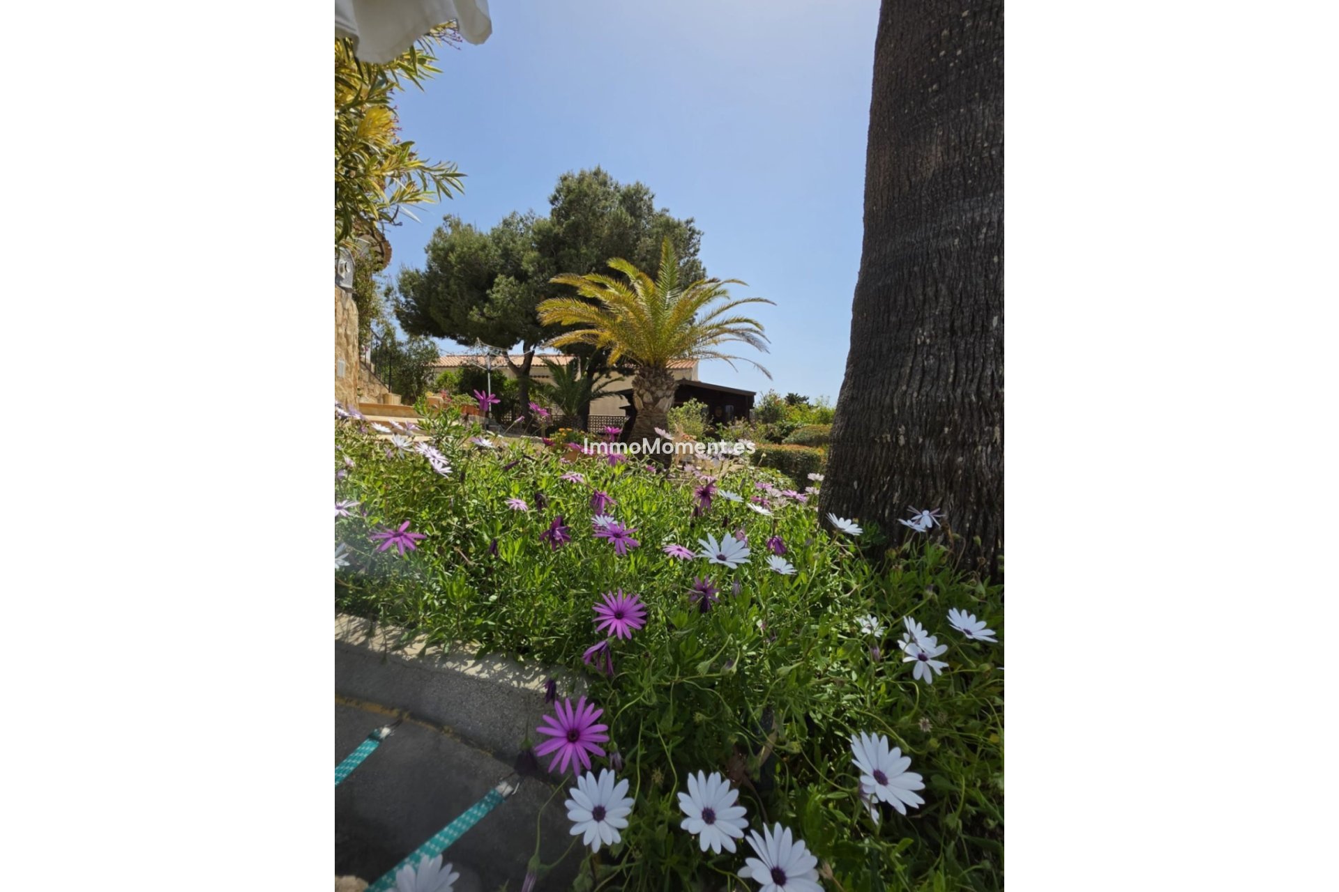 Resale - Villa - Jávea - Jávea - Xàbia Centro