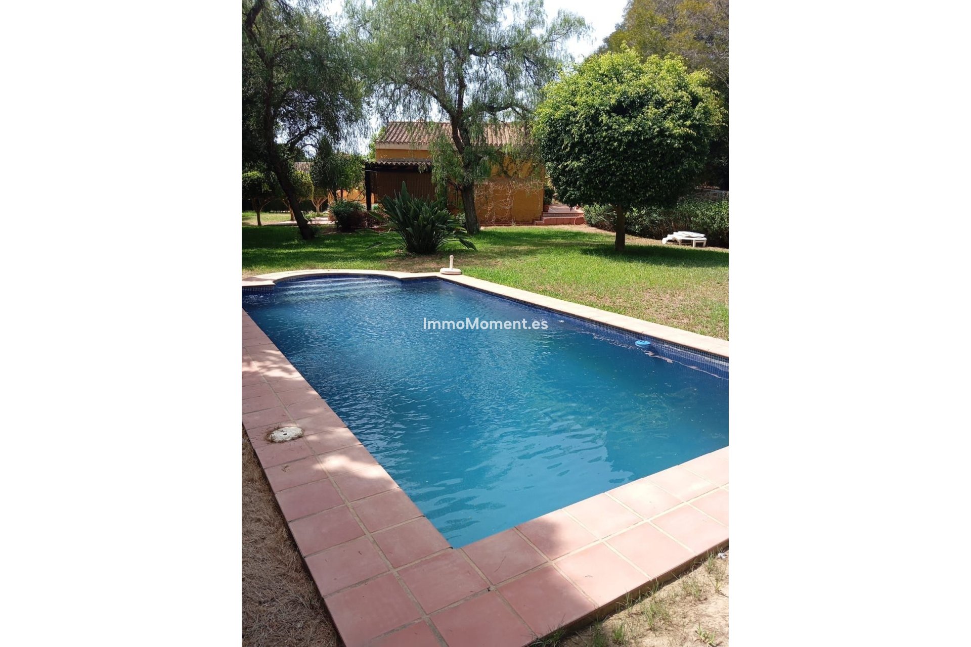 Resale - Villa - Marbella - El Rosario