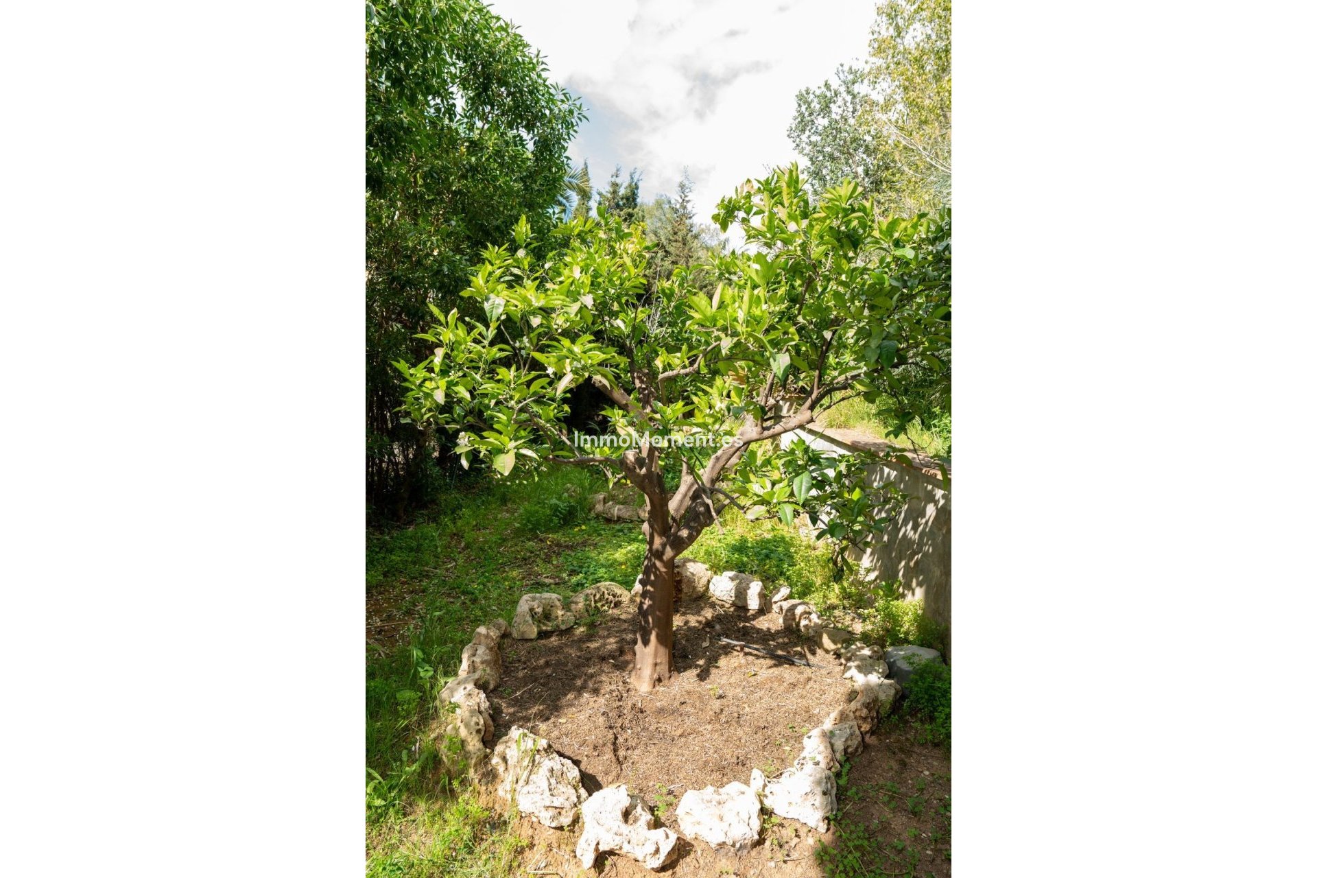 Resale - Villa - Marbella - Elviria