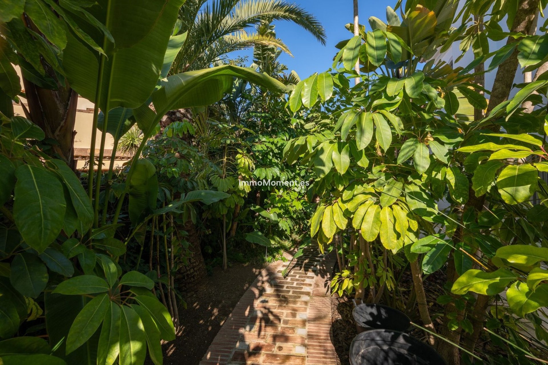 Resale - Villa - Marbella - Marbesa