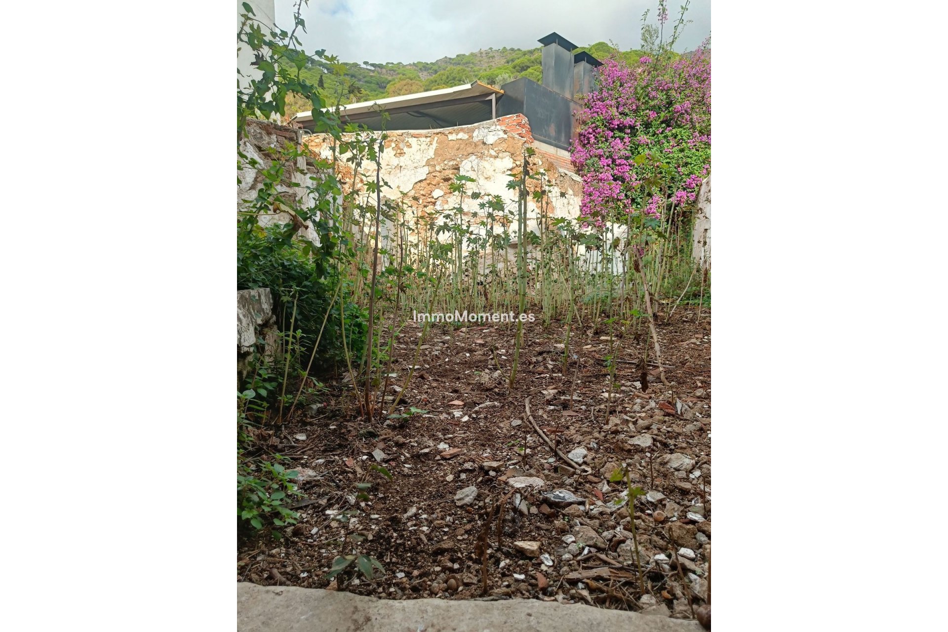 Resale - Villa - Mijas - Mijas Centro