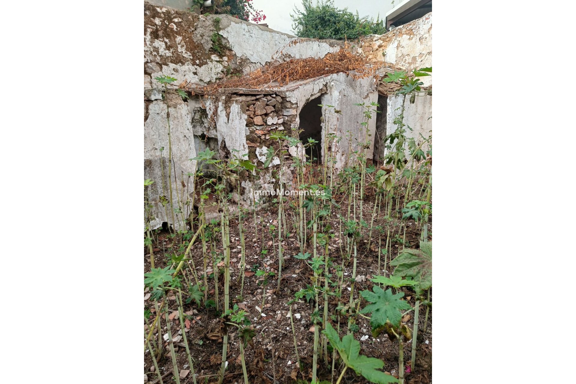 Resale - Villa - Mijas - Mijas Centro