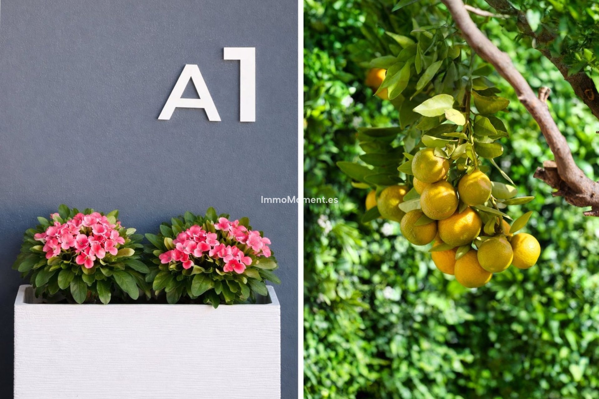 Resale - Villa - Mijas - Mijas Costa