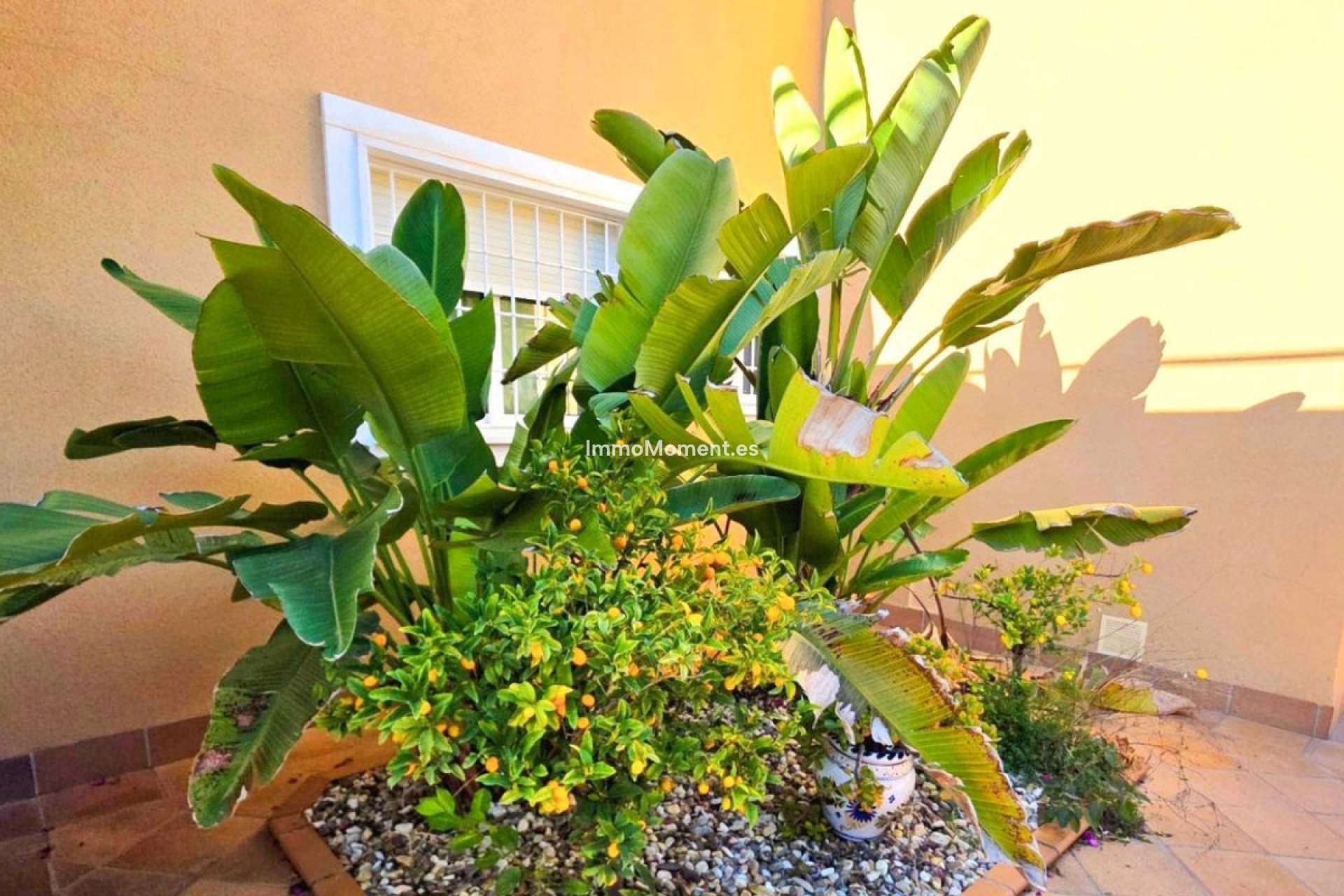 Resale - Villa - Orihuela - Campoamor