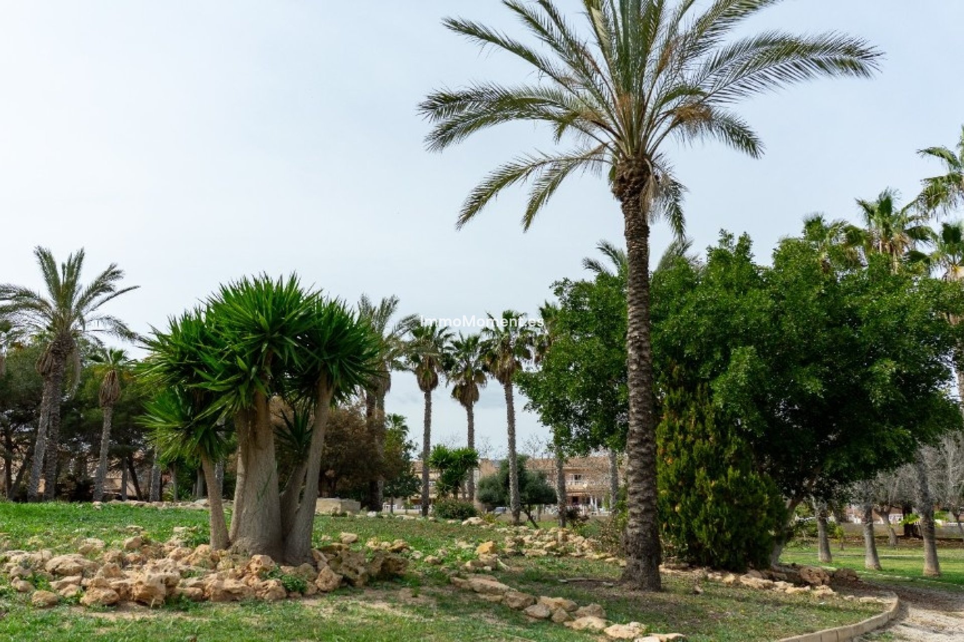 Resale - Villa - Orihuela - Los Altos