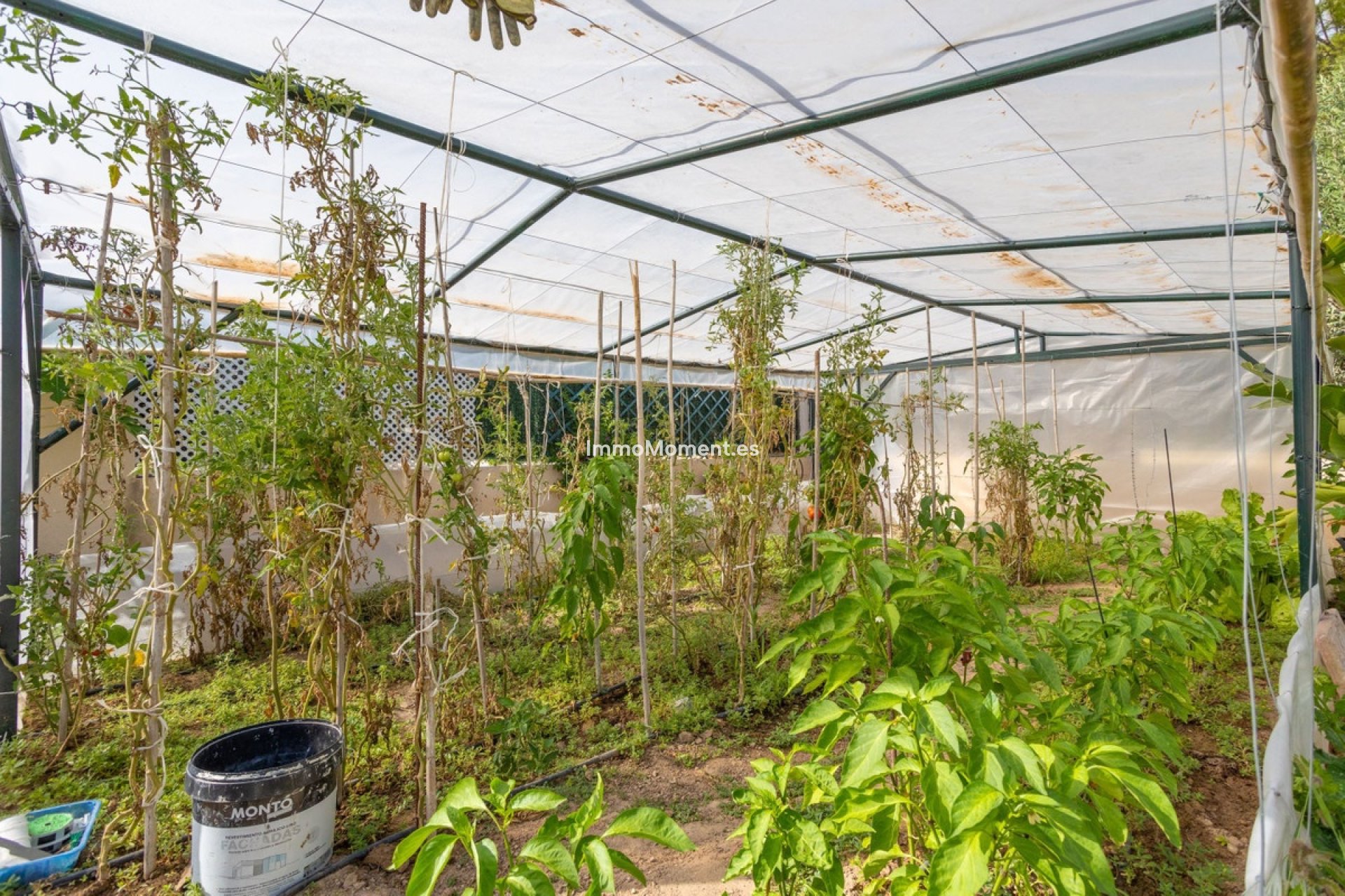 Resale - Villa - Orihuela - Villamartin