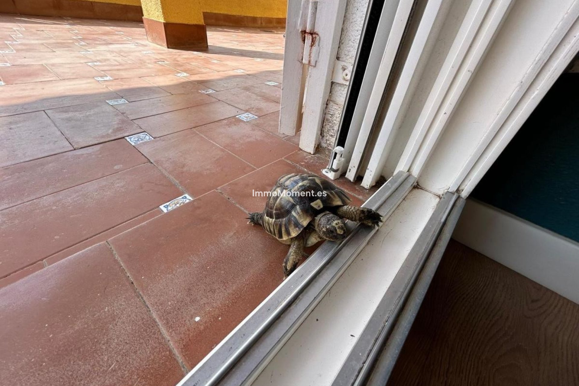 Resale - Villa - San Miguel de Salinas - San Miguel de Salinas Centro