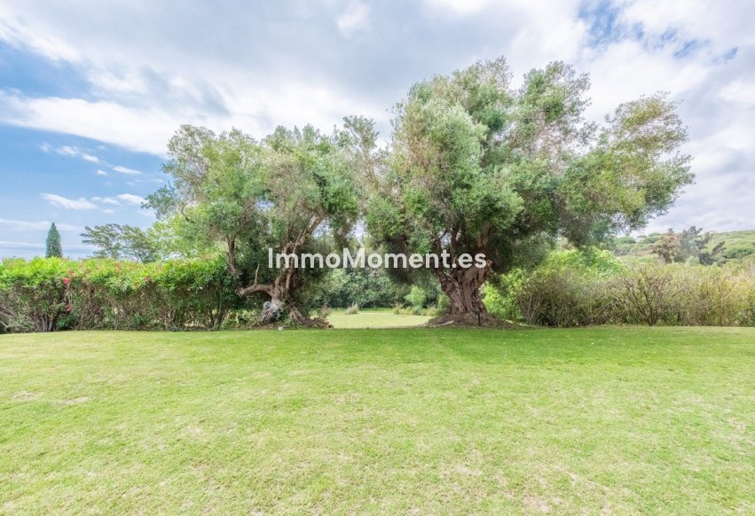 Resale - Villa - Sotogrande - Sotogrande Alto