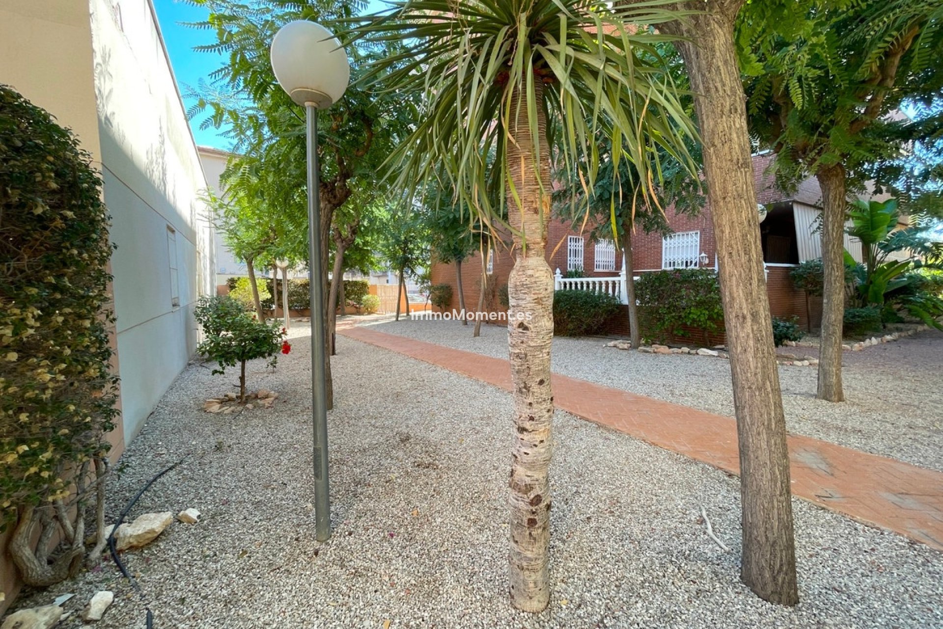 Reventa - Adosado - Elche - Elche Centro