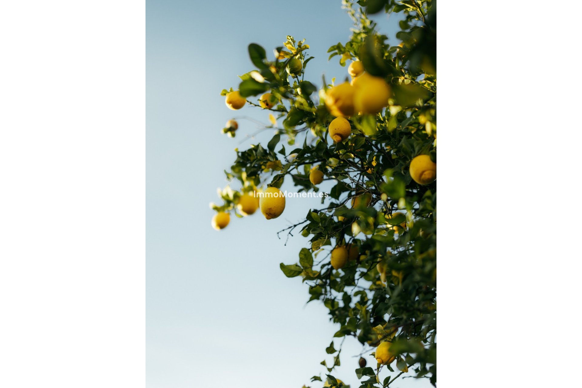 Reventa - Adosado - Estepona  - Atalaya