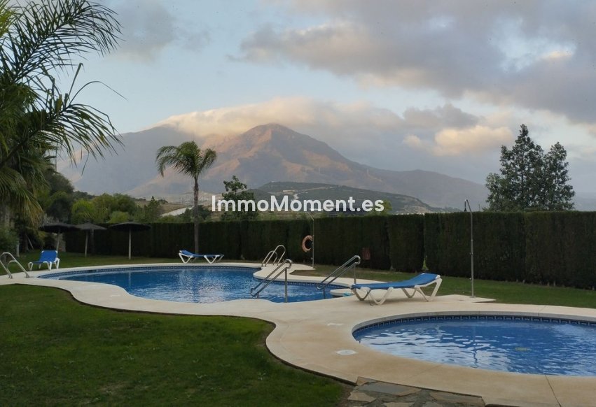 Reventa - Adosado - Estepona  - Estepona Centro