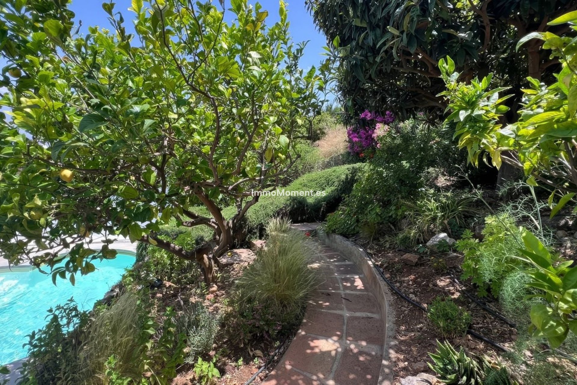 Reventa - Adosado - Interior  - Alhaurín el Grande Centro