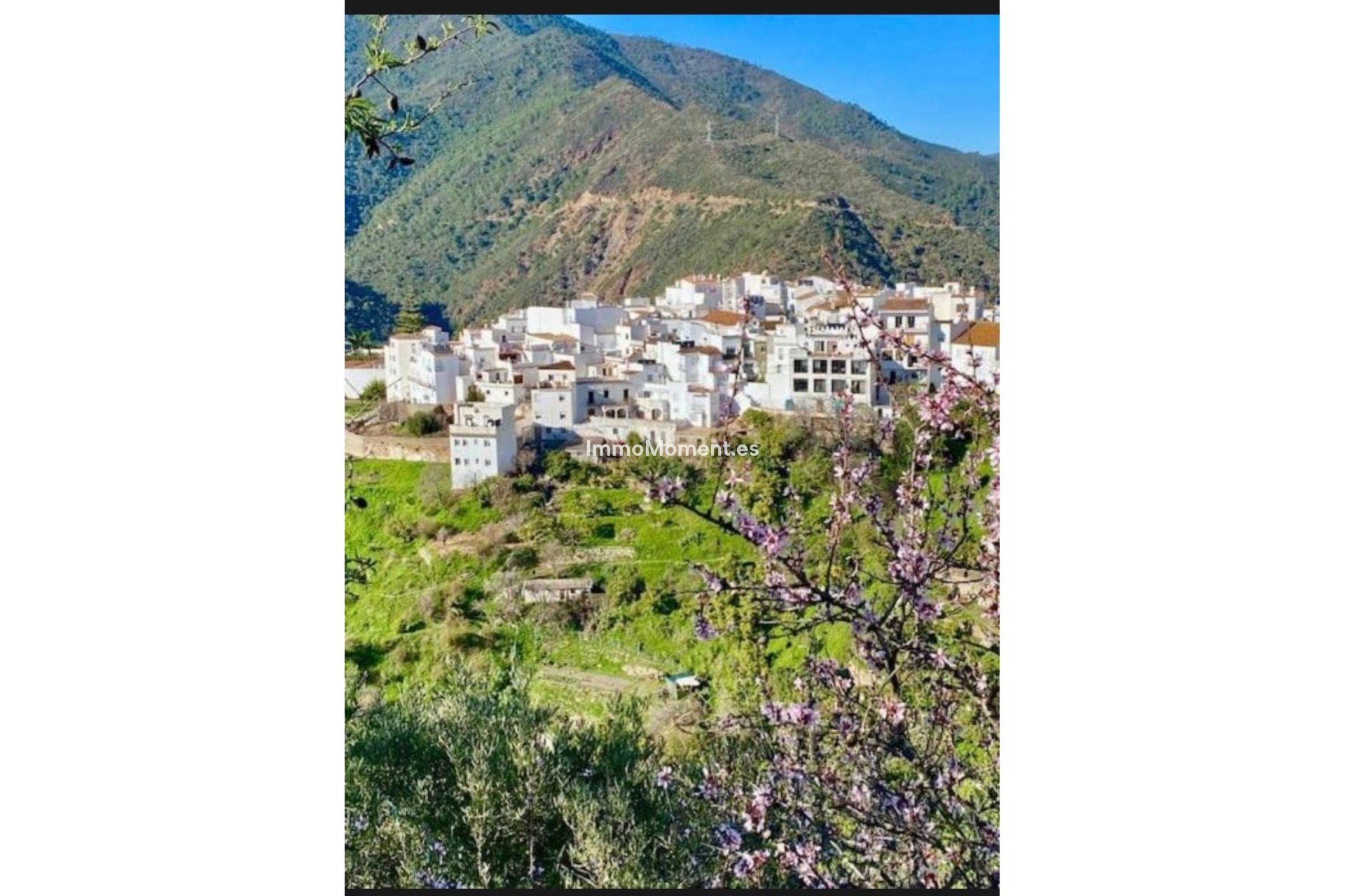 Reventa - Adosado - Interior  - Istán