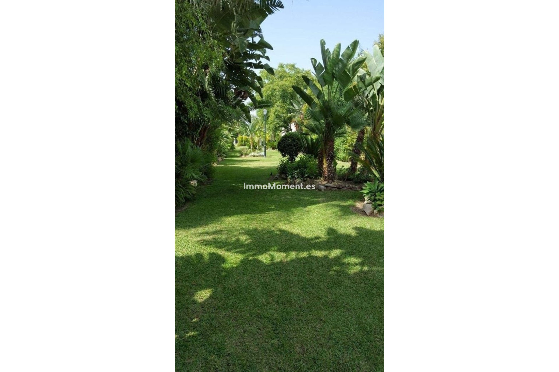 Reventa - Adosado - Marbella - Marbella Centro