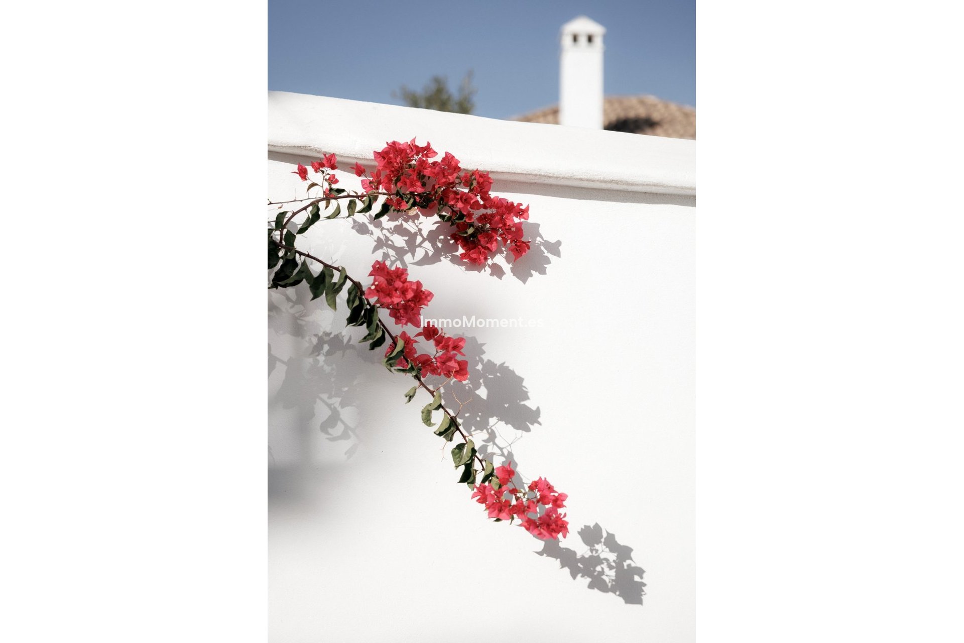 Reventa - Adosado - Marbella - Nueva Andalucía