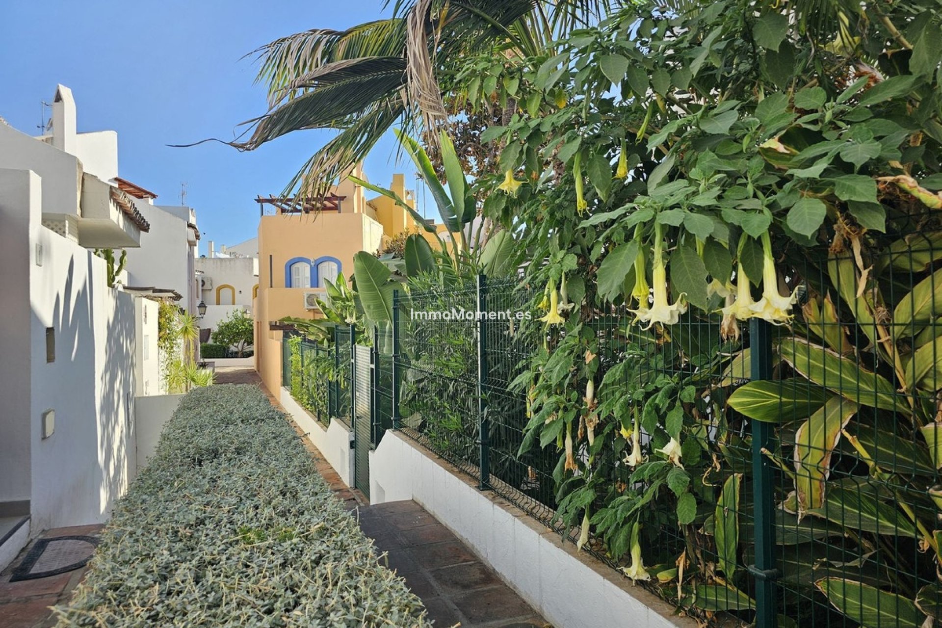 Reventa - Adosado - Marbella - Nueva Andalucía