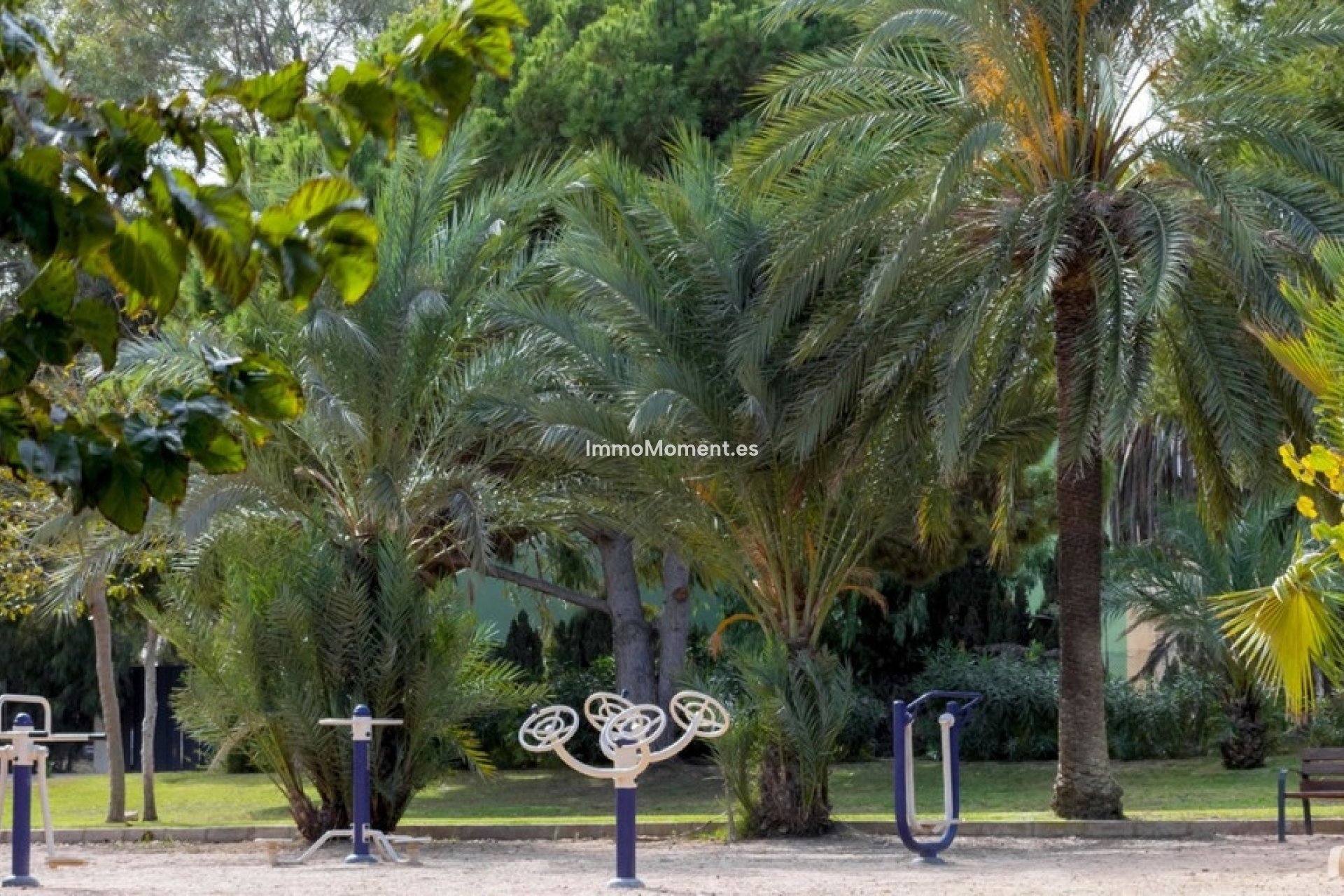 Reventa - Adosado - Orihuela - La Zenia