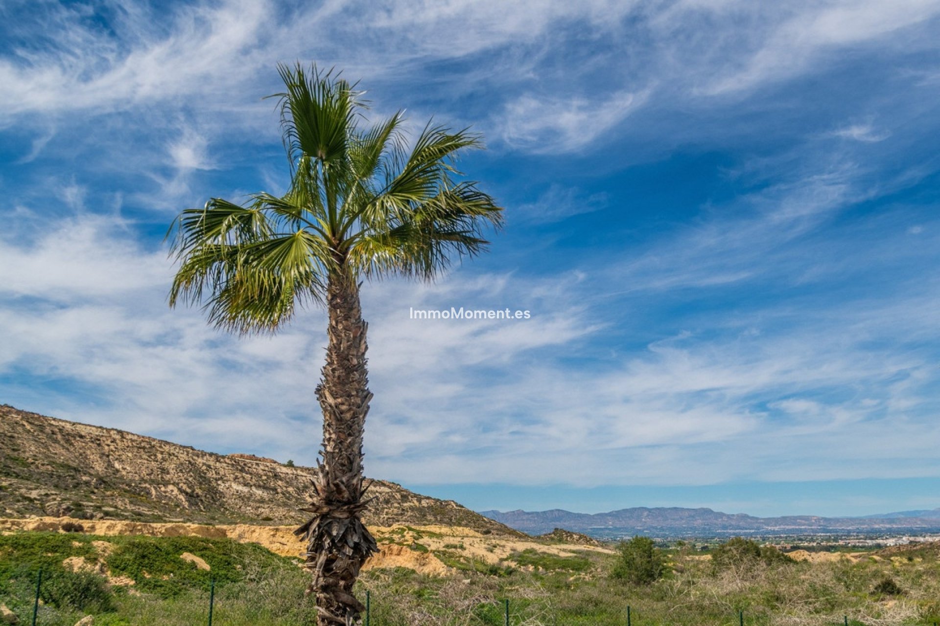 Reventa - Apartamento - Algorfa - Algorfa Centro