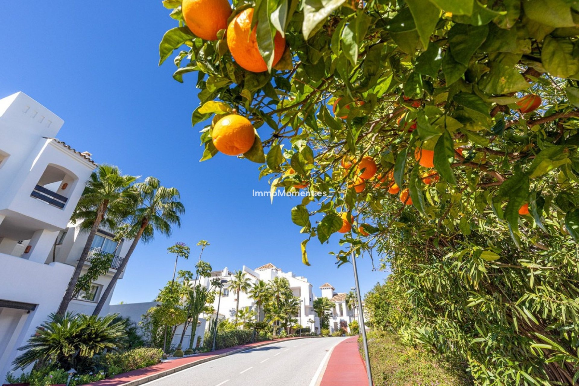 Reventa - Apartamento - Benahavís - Benahavís Centro