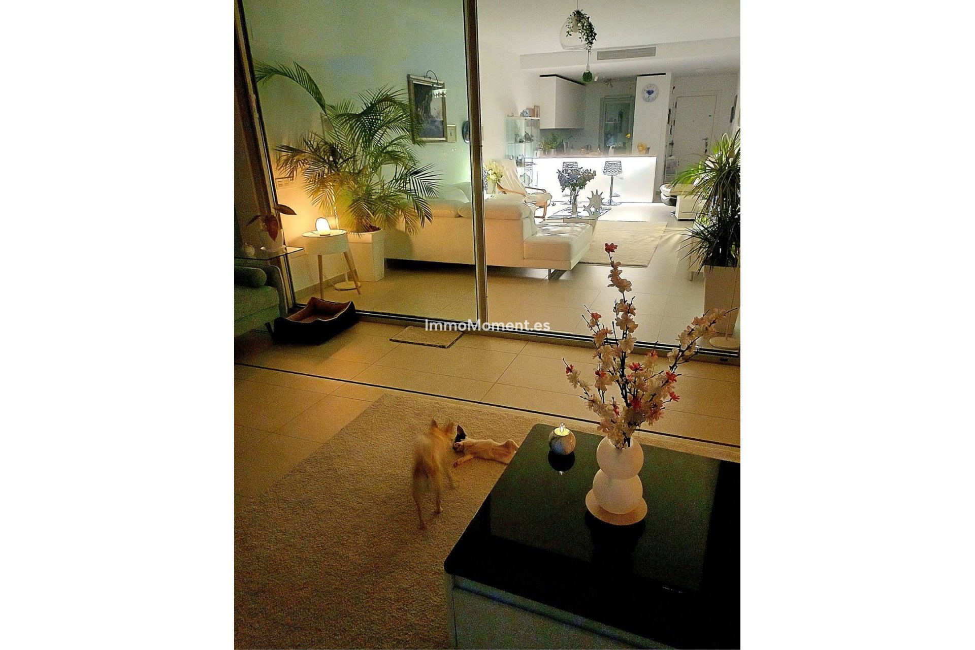 Reventa - Apartamento - Benalmadena - Benalmadena Centro