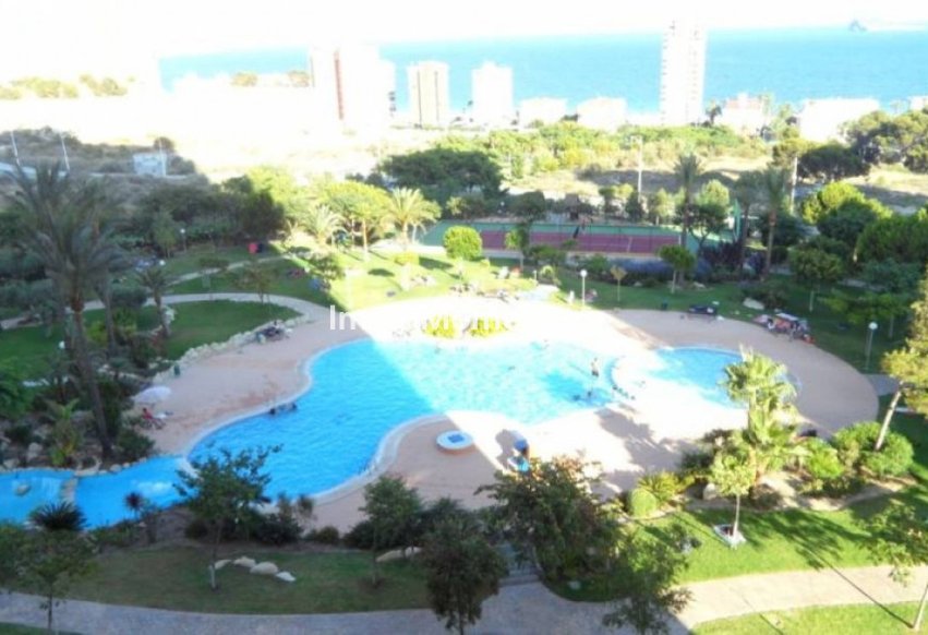 Reventa - Apartamento - Benidorm - Benidorm Centro