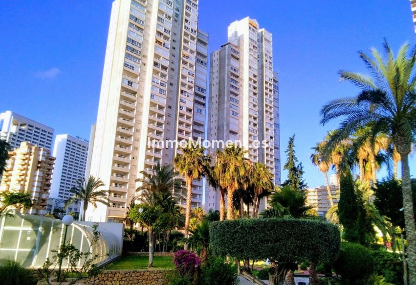 Reventa - Apartamento - Benidorm - Benidorm Centro