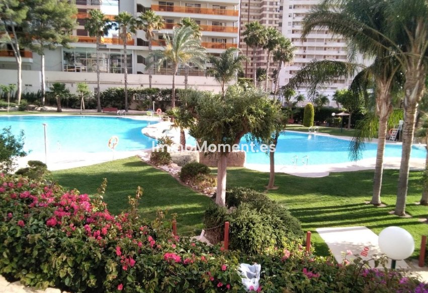 Reventa - Apartamento - Benidorm - Benidorm Centro