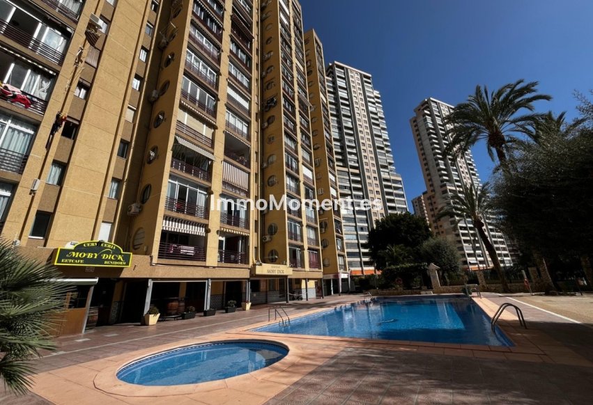 Reventa - Apartamento - Benidorm - Benidorm Centro