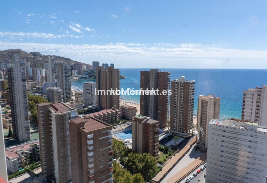 Reventa - Apartamento - Benidorm - Benidorm Centro