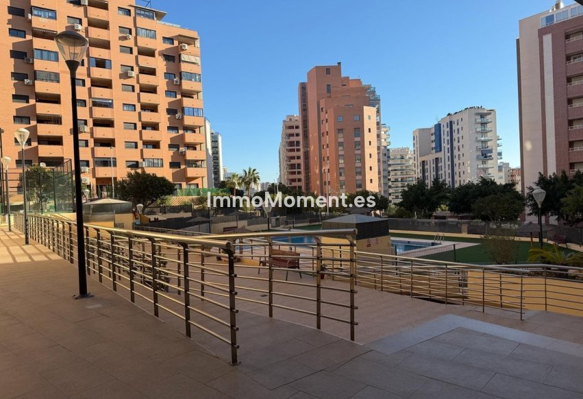 Reventa - Apartamento - Benidorm - Benidorm Centro
