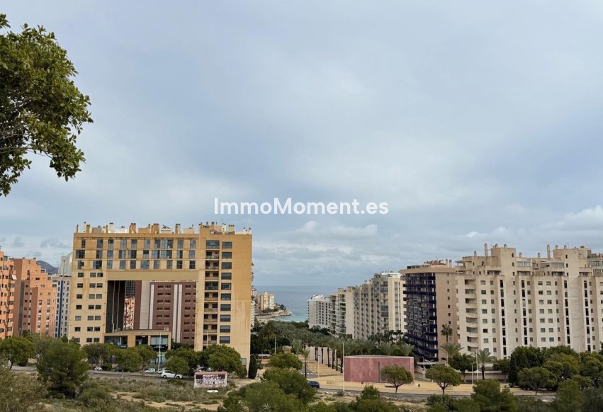 Reventa - Apartamento - Benidorm - Benidorm Centro