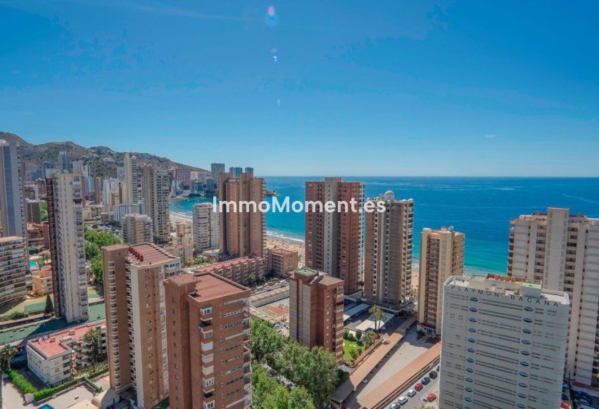 Reventa - Apartamento - Benidorm - Benidorm Centro