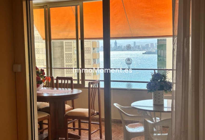 Reventa - Apartamento - Benidorm - Benidorm Centro