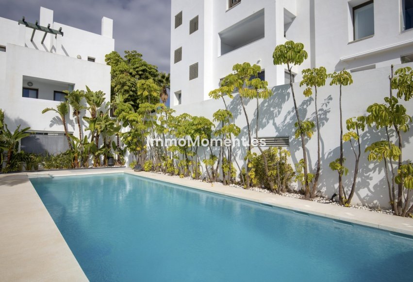 Reventa - Apartamento - Casares - Casares Centro