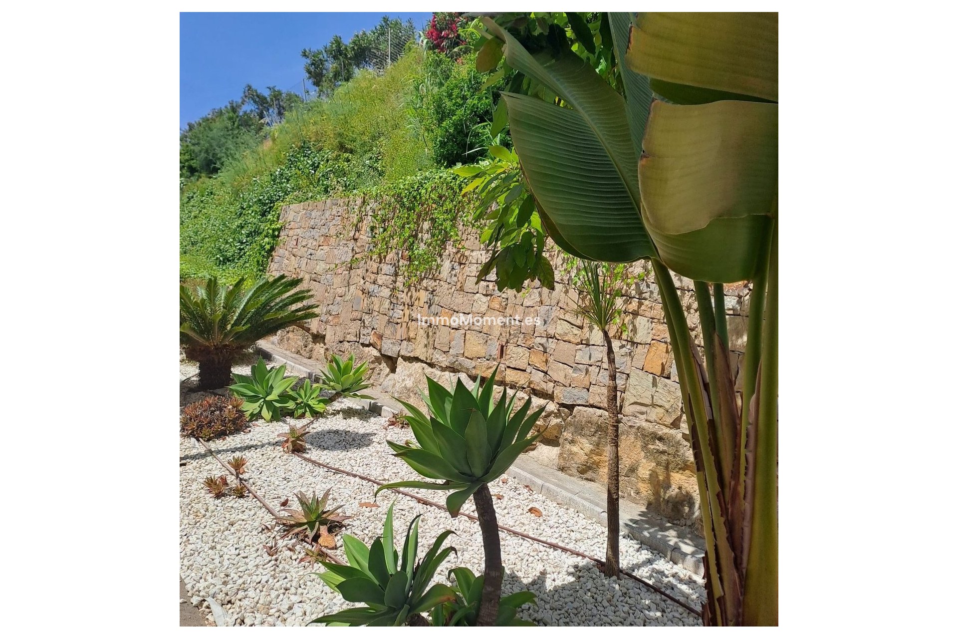 Reventa - Apartamento - Casares - Casares Playa