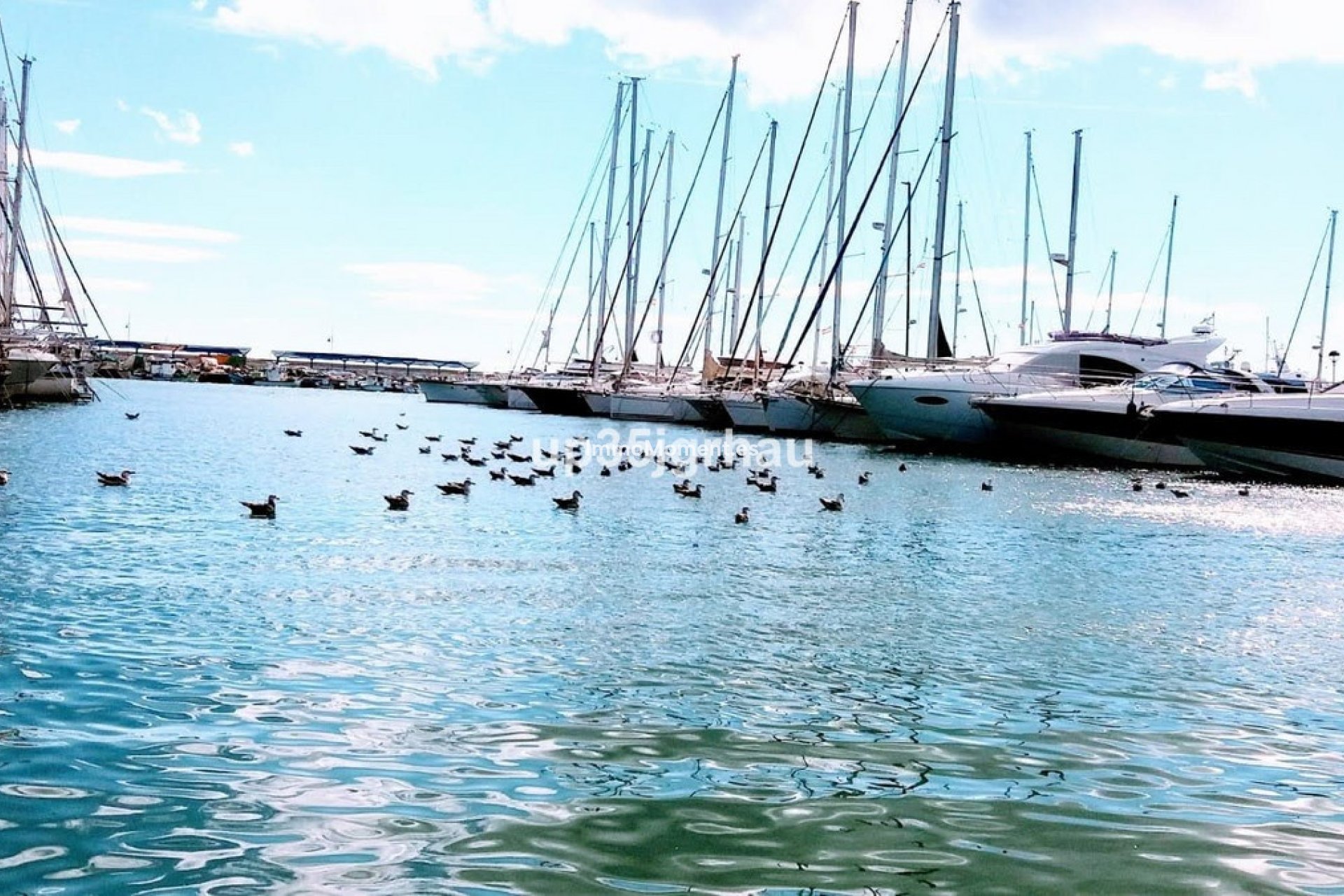Reventa - Apartamento - Estepona  - Estepona Centro