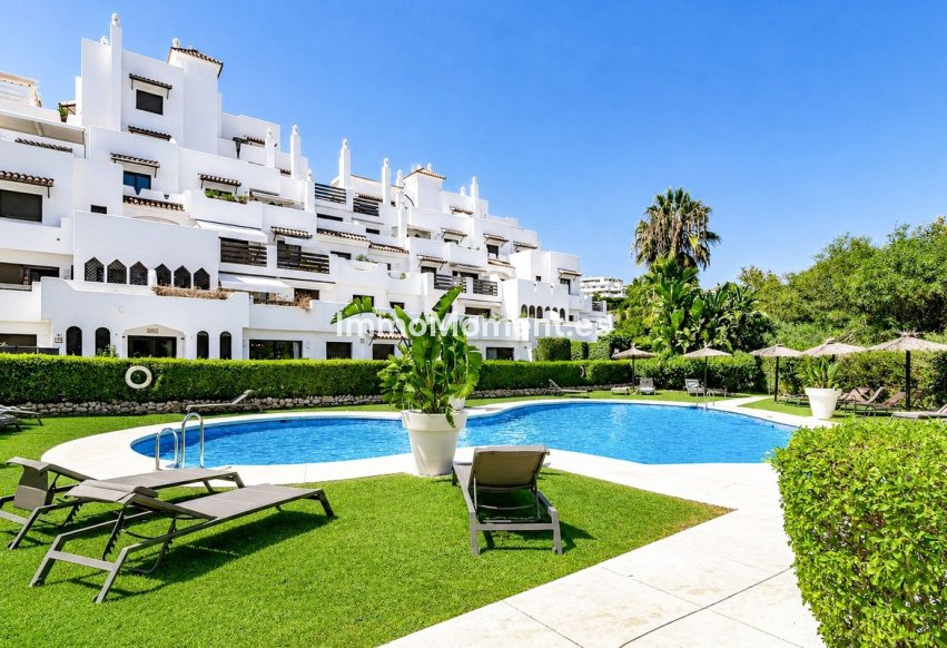 Reventa - Apartamento - Estepona  - Estepona Centro