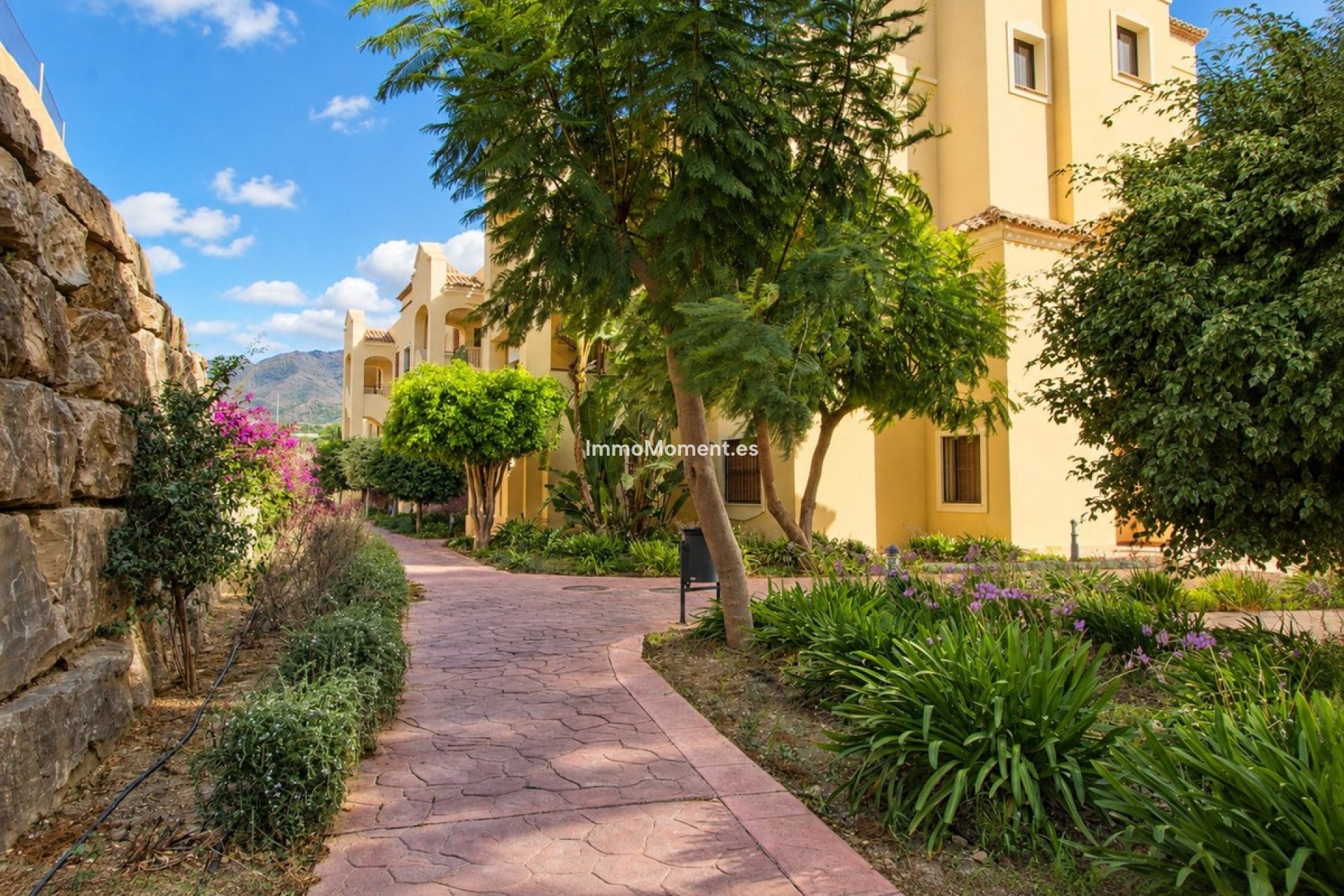 Reventa - Apartamento - Estepona  - Estepona Centro