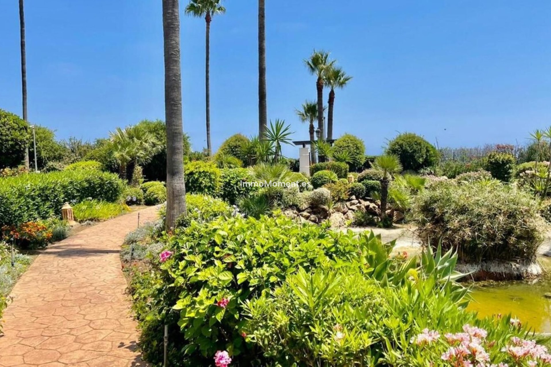 Reventa - Apartamento - Estepona  - Estepona Centro