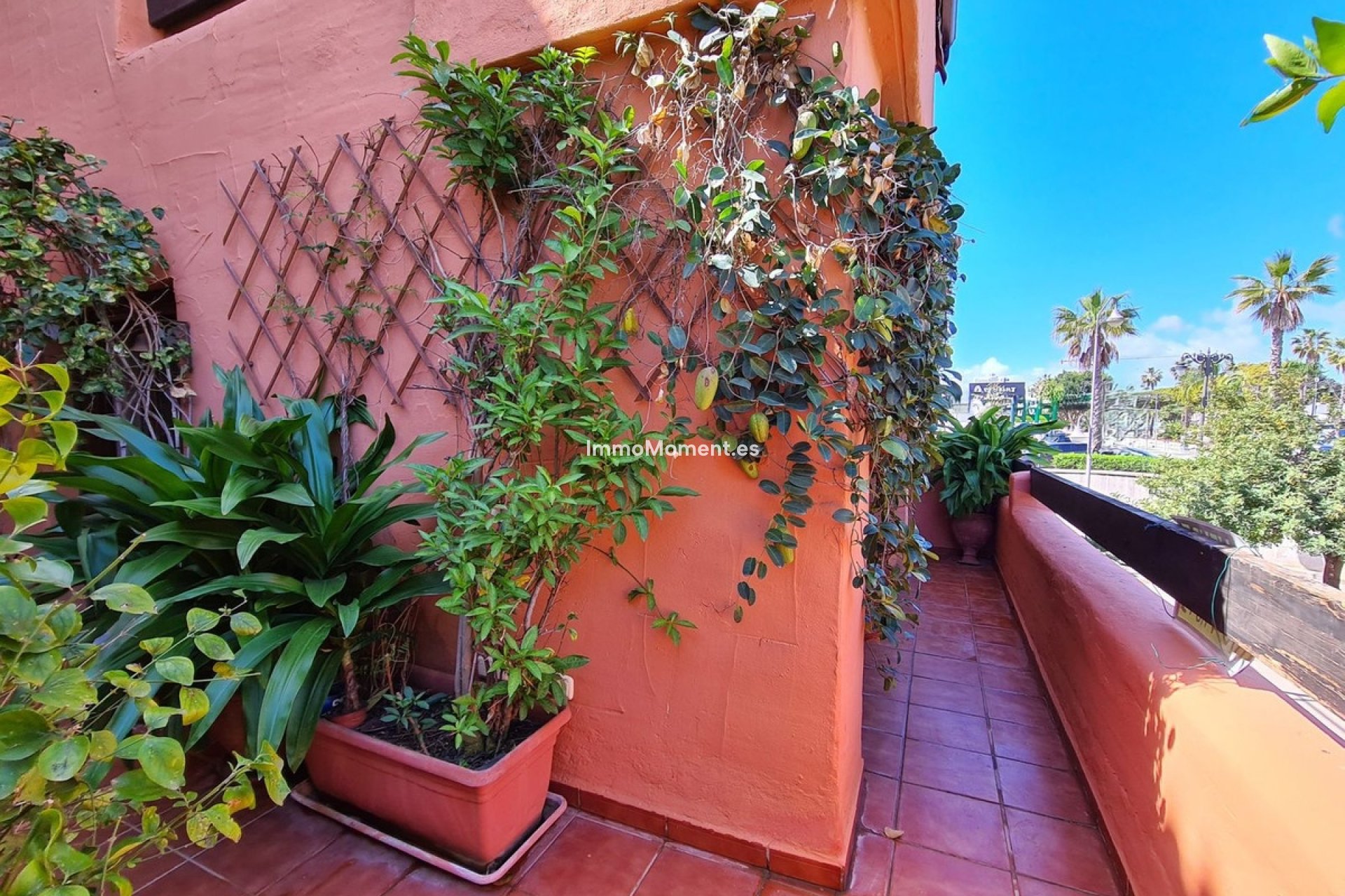 Reventa - Apartamento - Estepona  - Estepona Centro