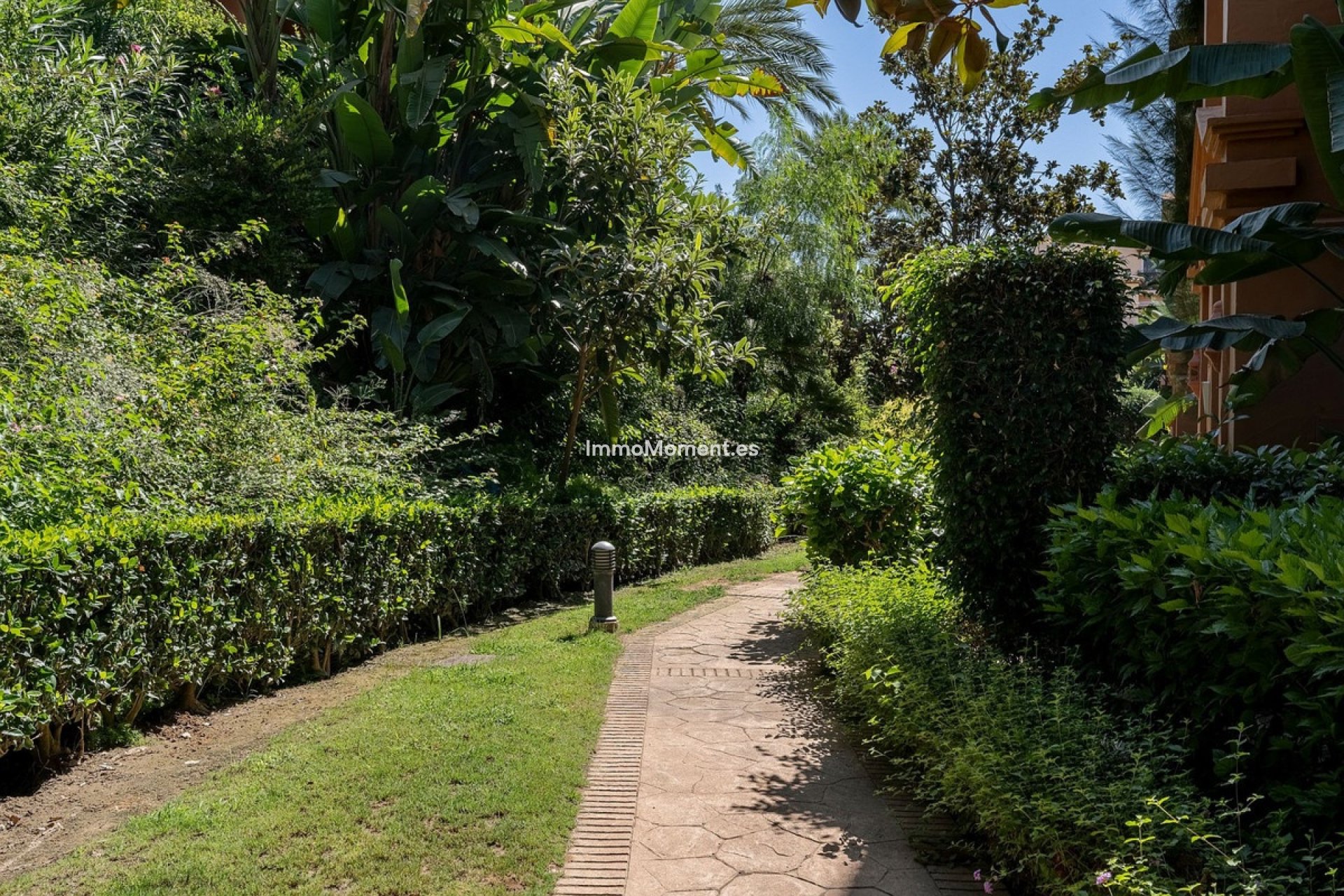 Reventa - Apartamento - Estepona  - Estepona Centro