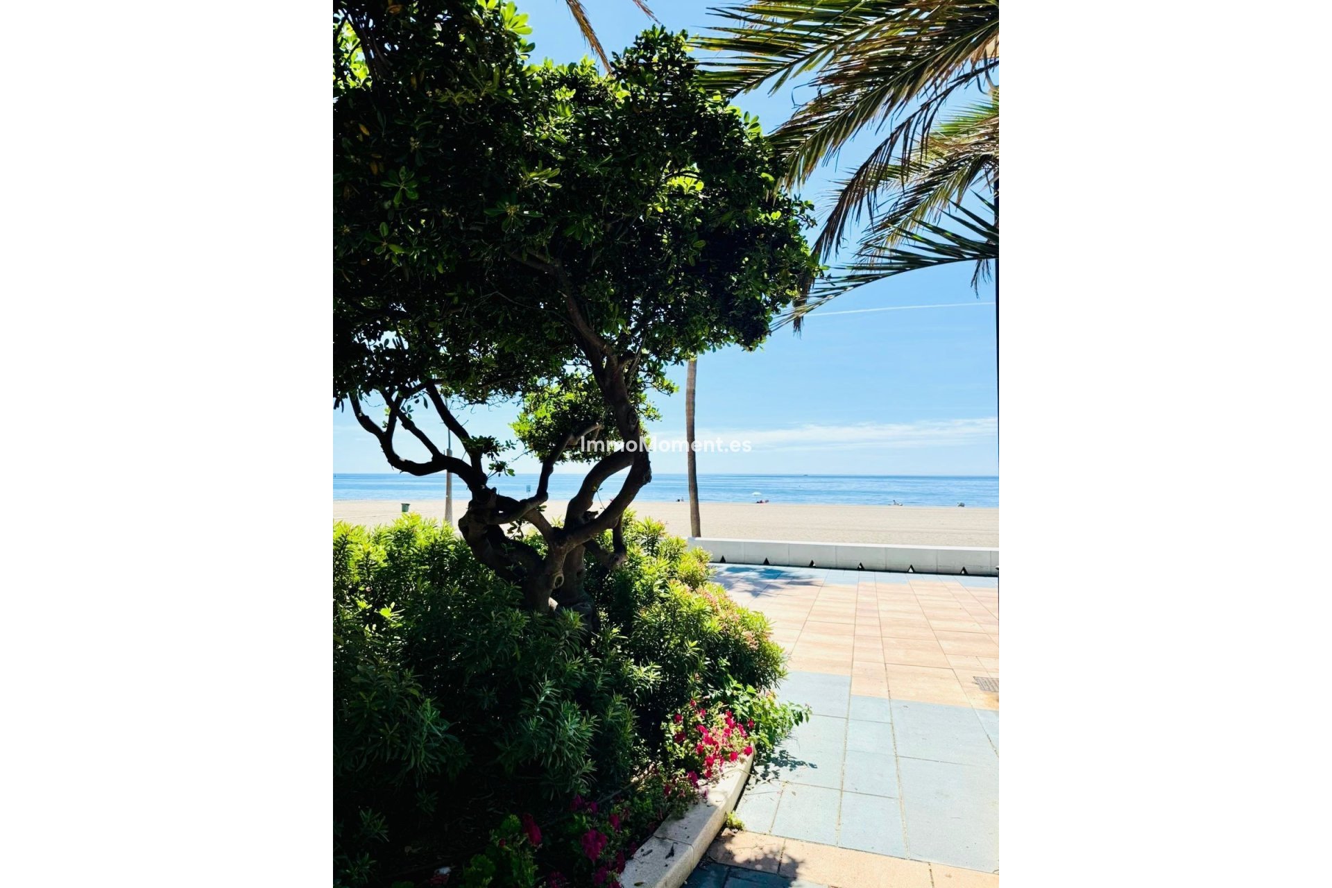 Reventa - Apartamento - Estepona  - Estepona Centro