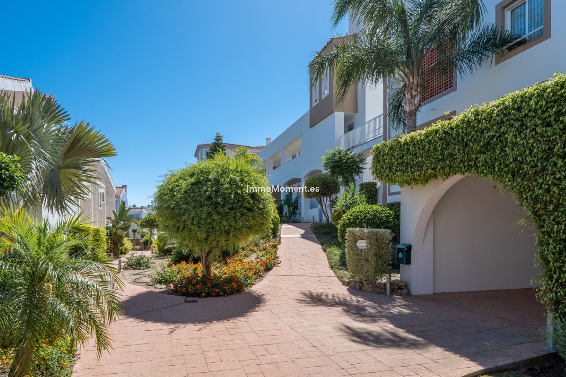 Reventa - Apartamento - Estepona  - Estepona Centro