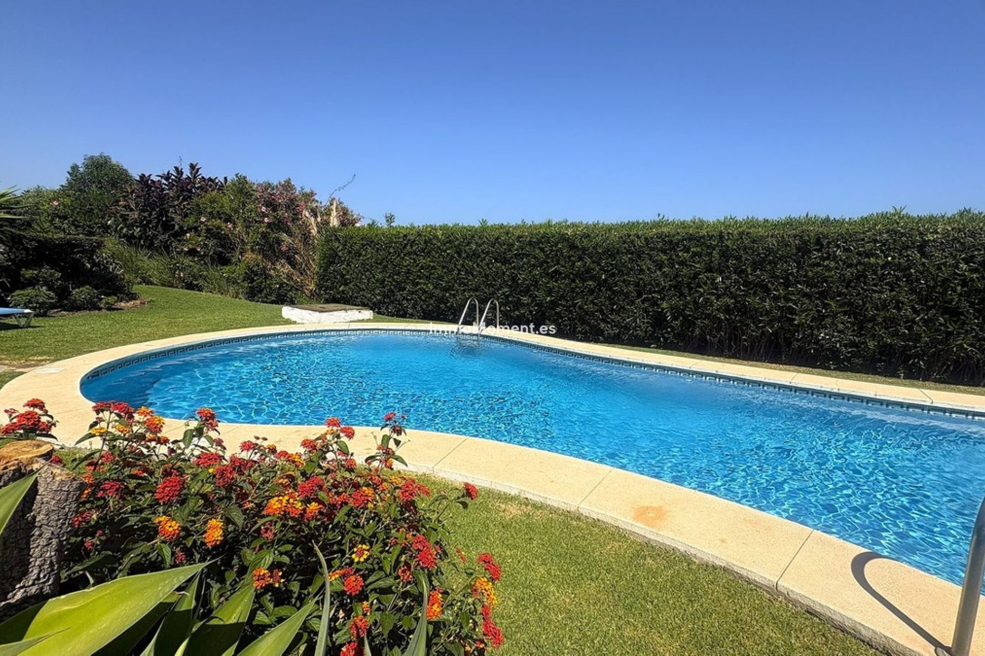 Reventa - Apartamento - Estepona  - Estepona Centro
