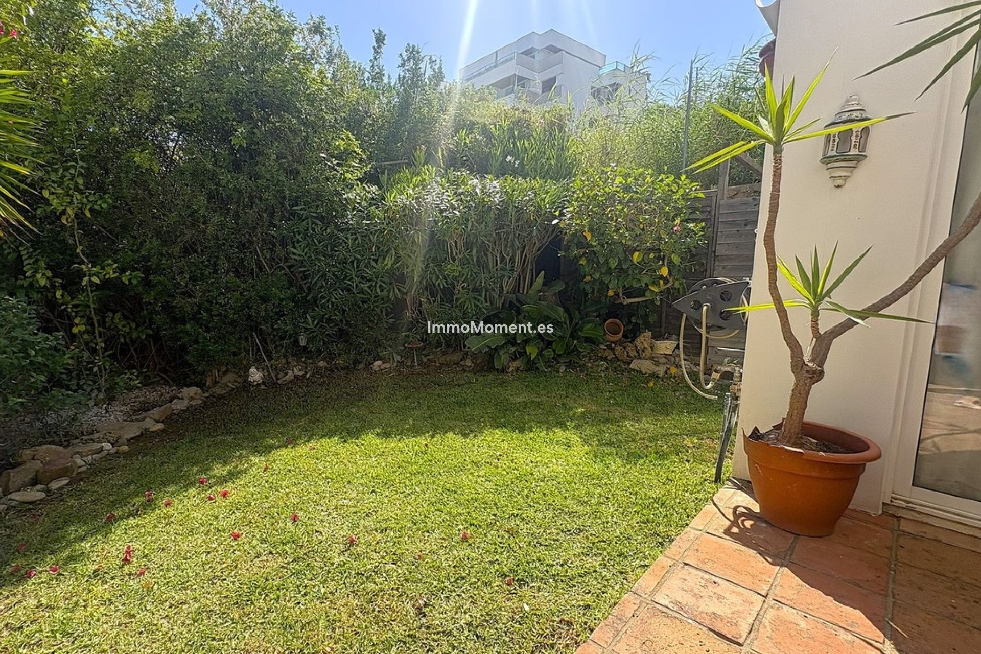 Reventa - Apartamento - Estepona  - Estepona Centro