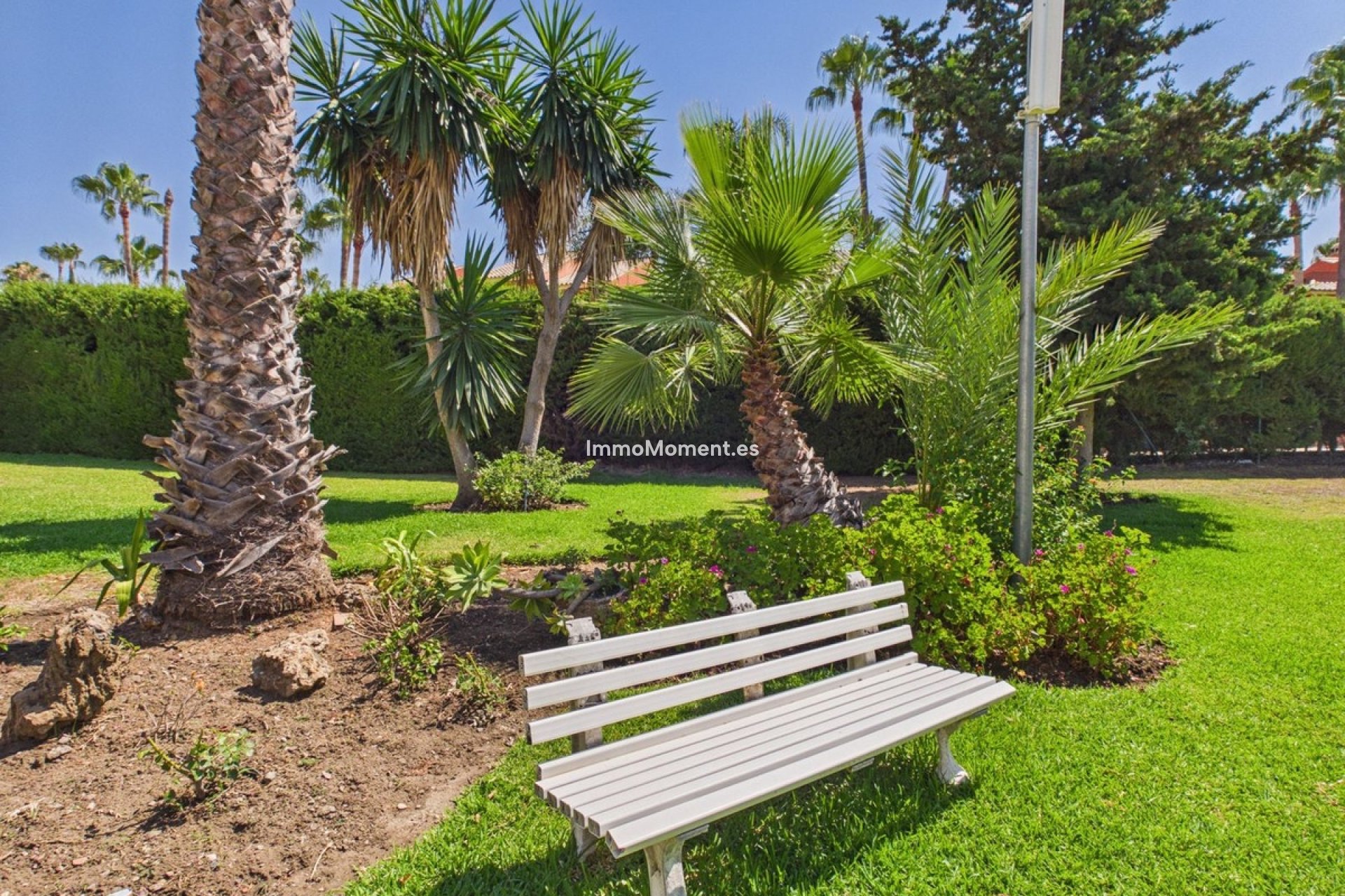 Reventa - Apartamento - Estepona  - Estepona Centro