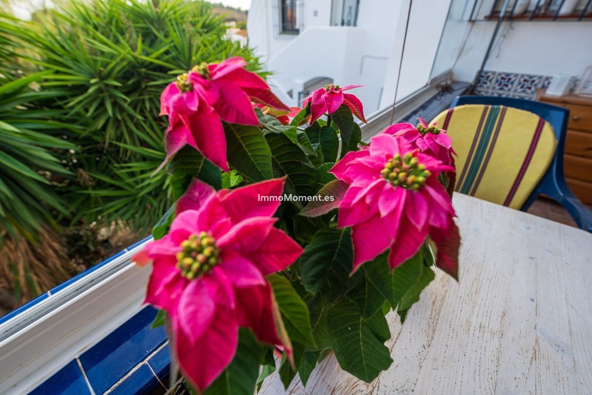 Reventa - Apartamento - Fuengirola - Torreblanca