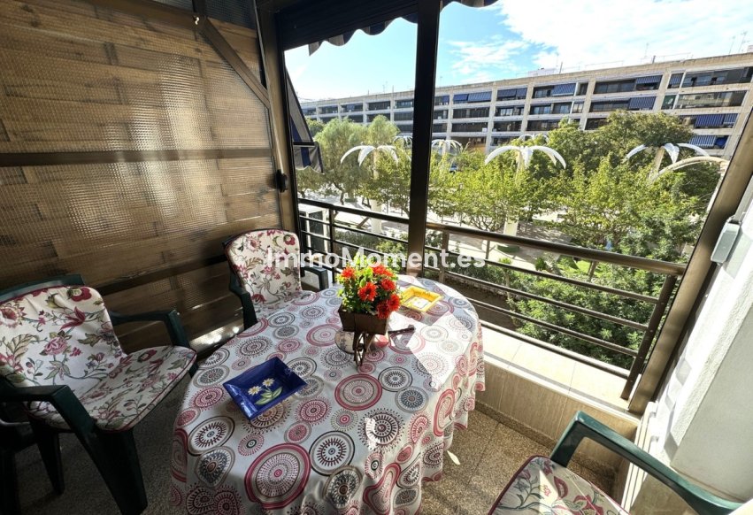 Reventa - Apartamento - Guardamar del Segura - Guardamar del Segura Centro