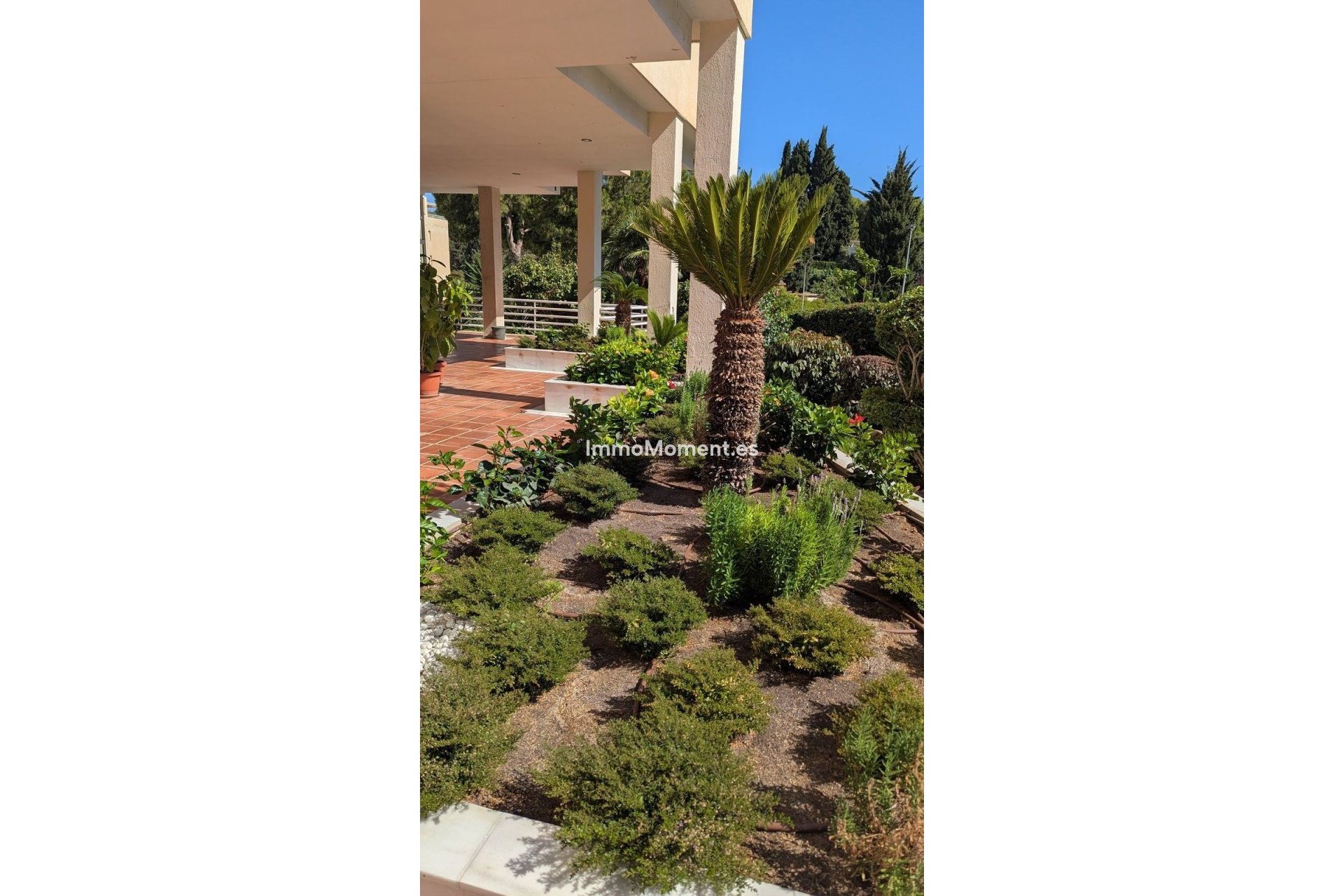 Reventa - Apartamento - Málaga - Limonar